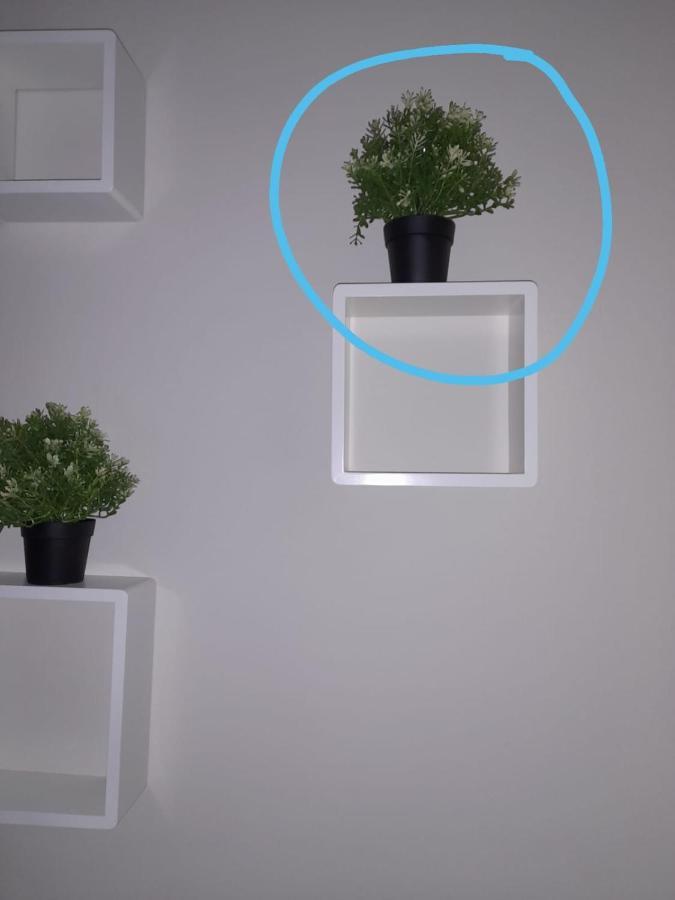 Precioso Estudio En Lavapies Salitre Мадрид Екстериор снимка